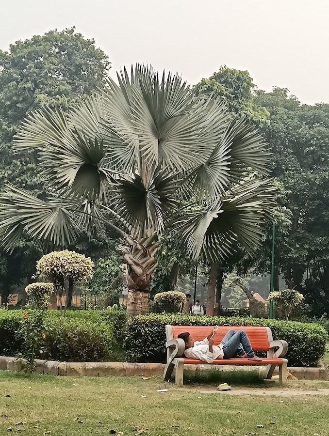 Madhav Park photo 9