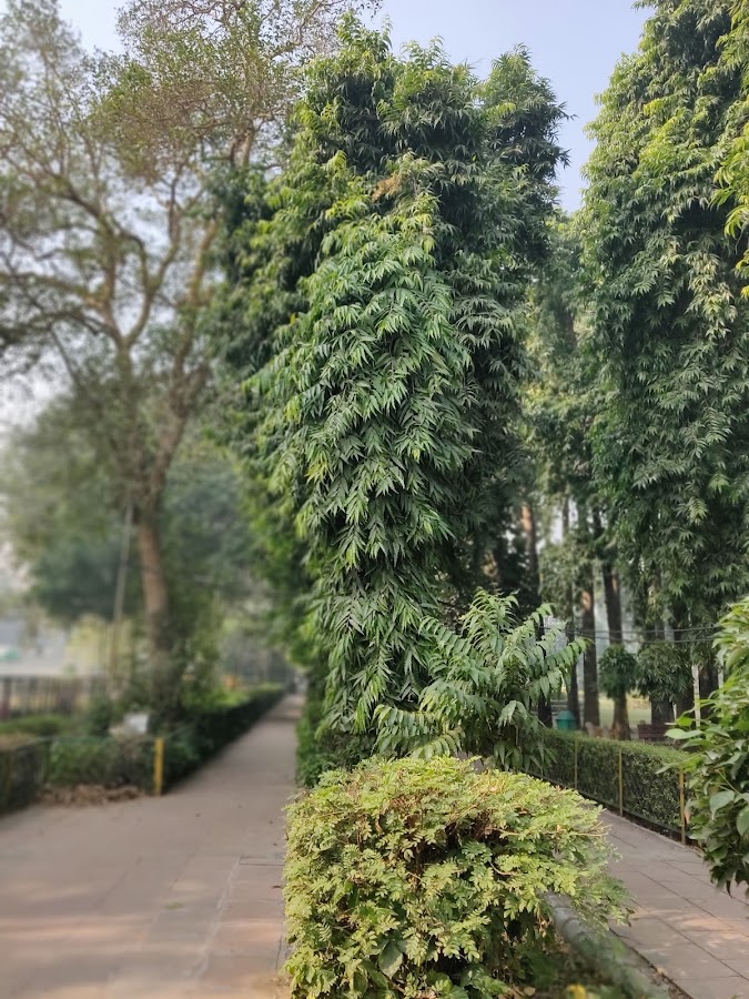 Madhav Park photo 10