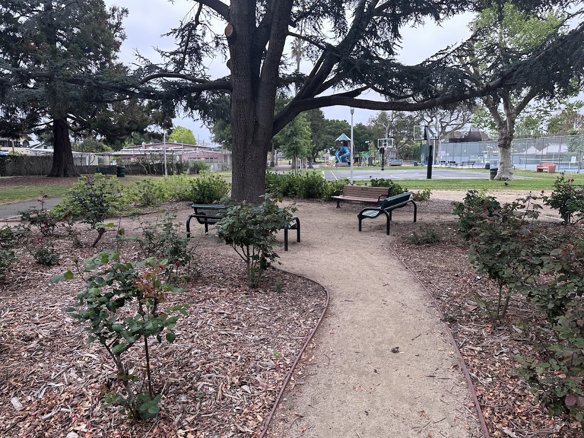 Lincoln Park photo 4