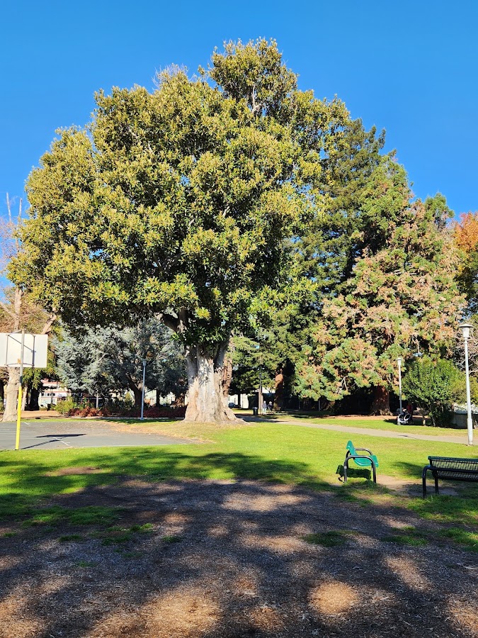 Lincoln Park photo 8