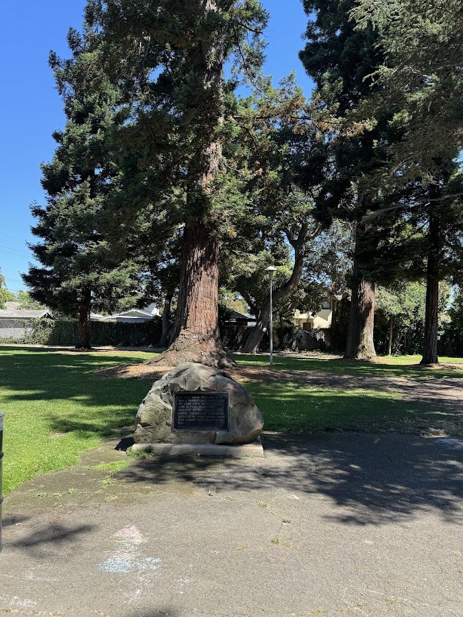 Lincoln Park photo 10