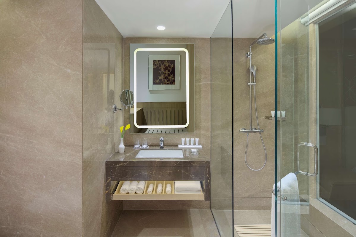 Radisson Hotel Gurugram Udyog Vihar photo 4