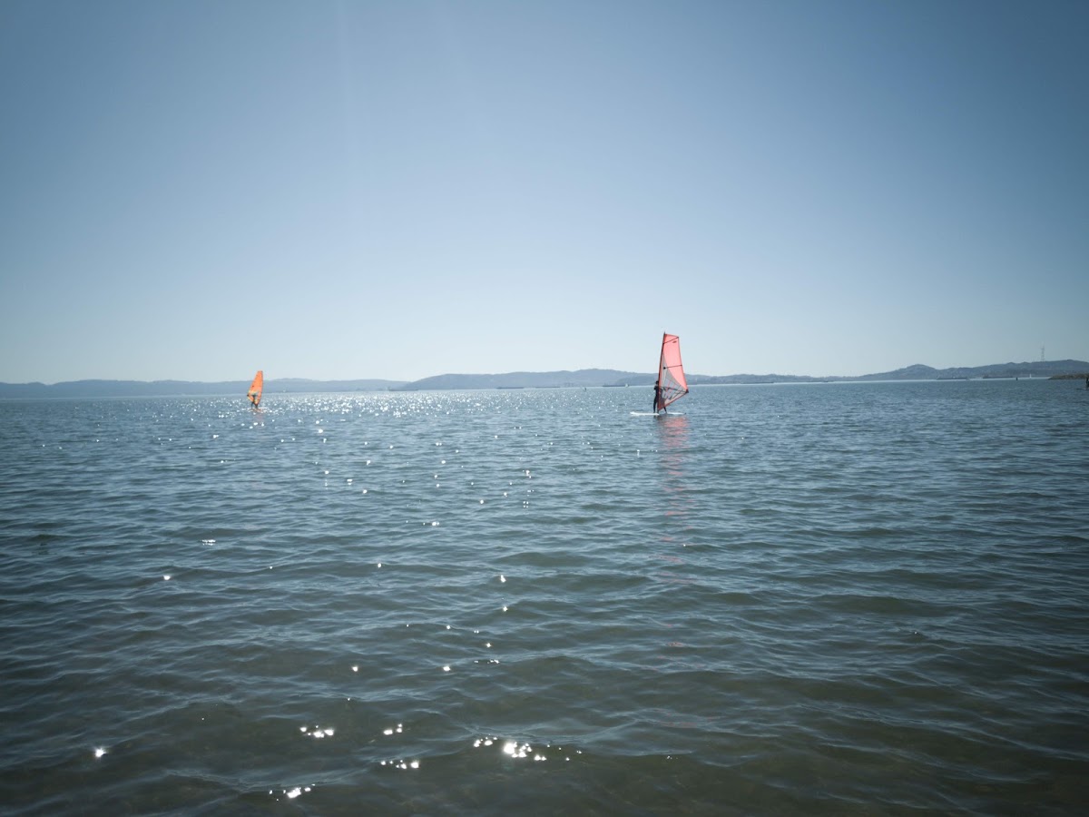 Robert W. Crown Memorial State Beach photo 2