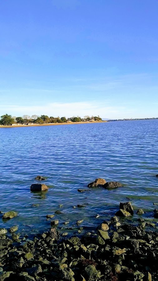Robert W. Crown Memorial State Beach photo 3