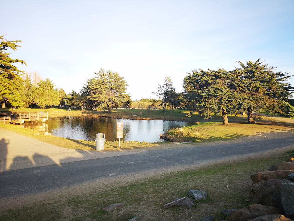 Robert W. Crown Memorial State Beach photo 8