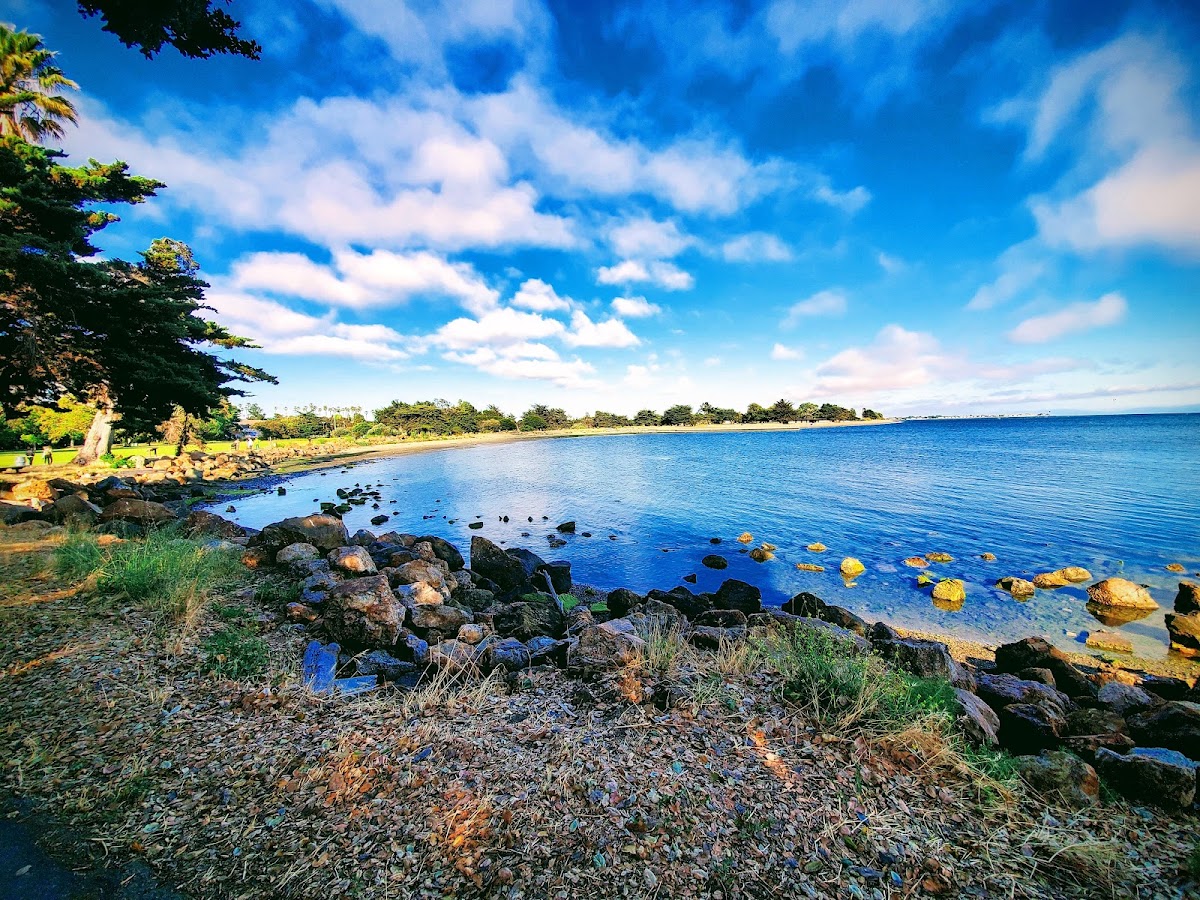 Robert W. Crown Memorial State Beach photo 9