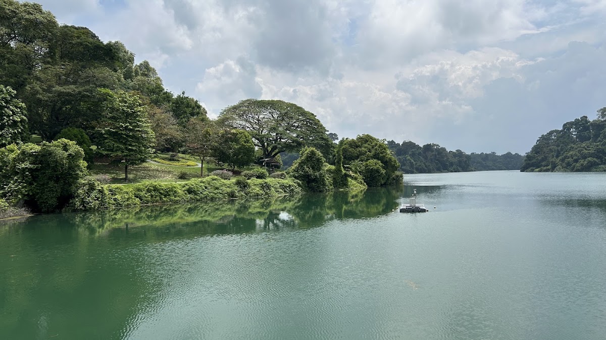 MacRitchie Reservoir Park photo 2