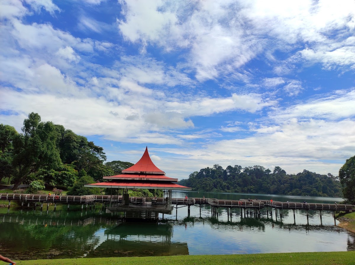 MacRitchie Reservoir Park photo 3