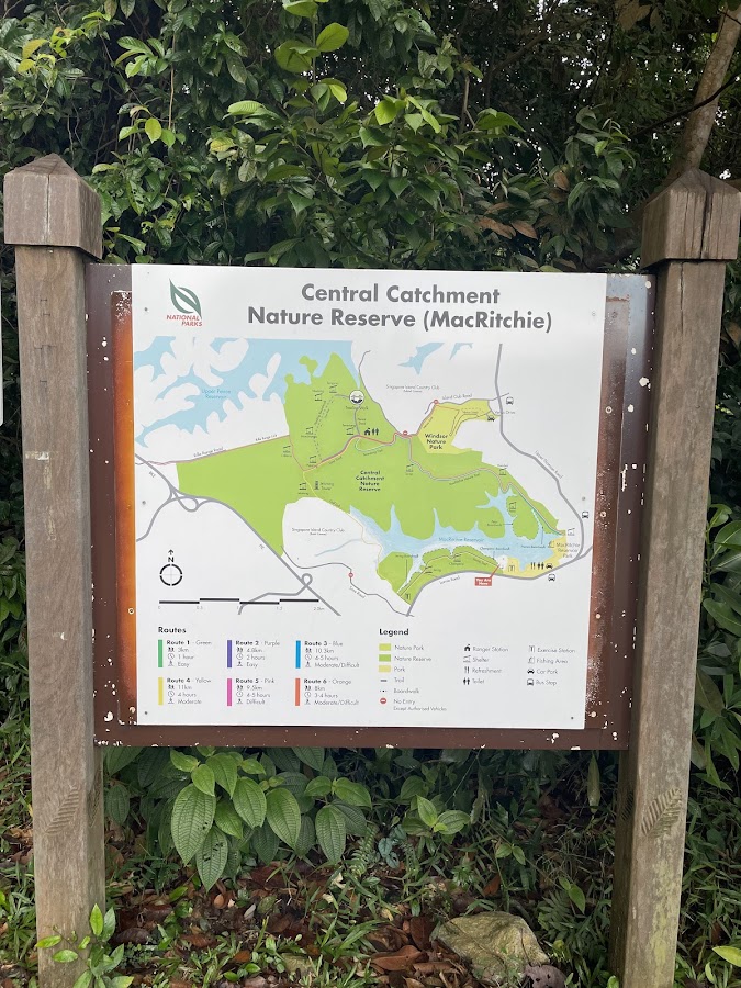 MacRitchie Reservoir Park photo 5