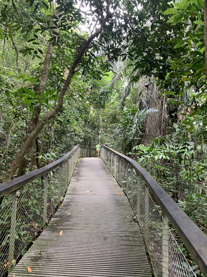MacRitchie Reservoir Park photo 6