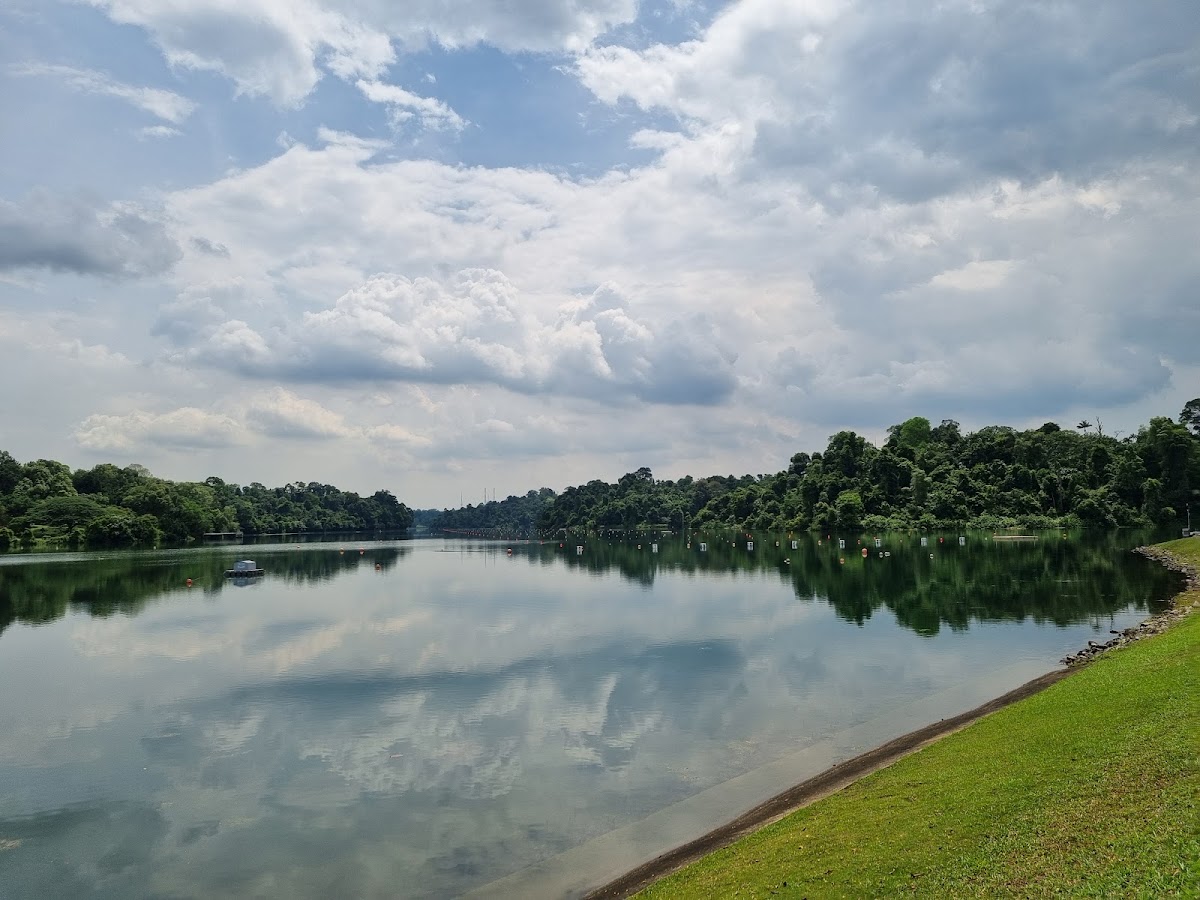 MacRitchie Reservoir Park photo 7