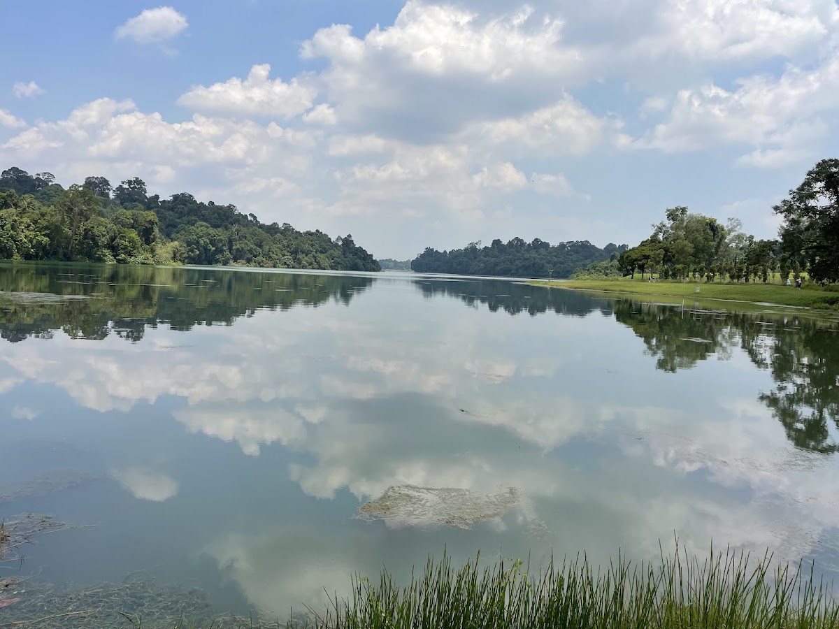 MacRitchie Reservoir Park photo 8