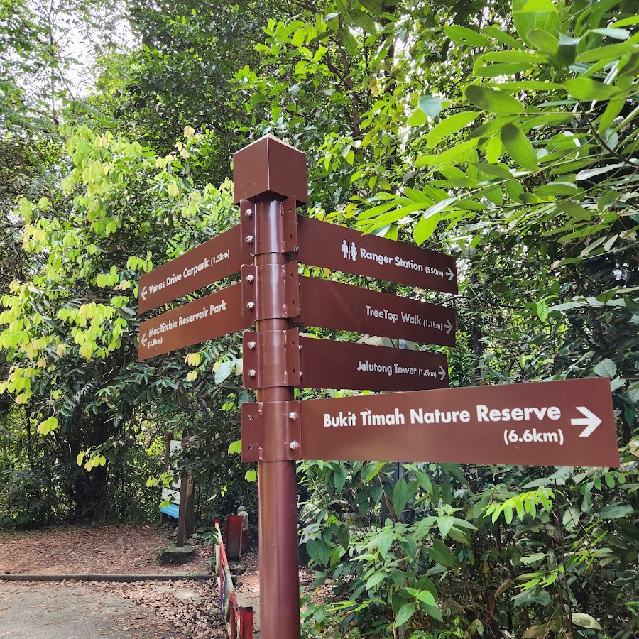 MacRitchie Reservoir Park photo 9