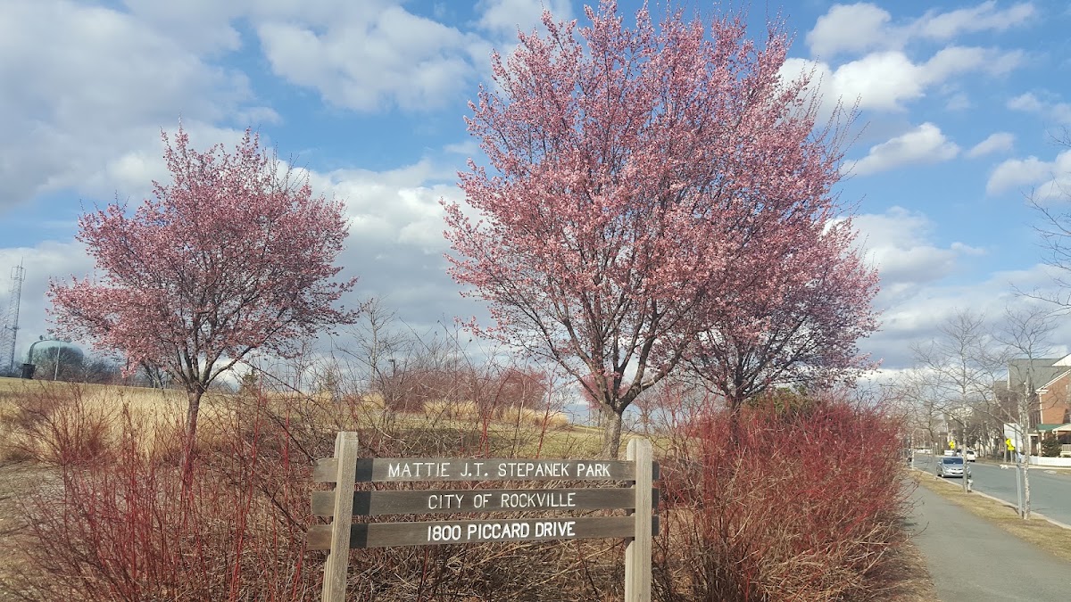 Mattie J.T. Stepanek Park photo 10