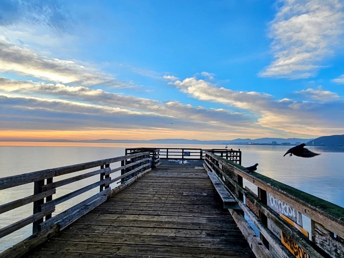 Candlestick Point State Recreation Area photo 4