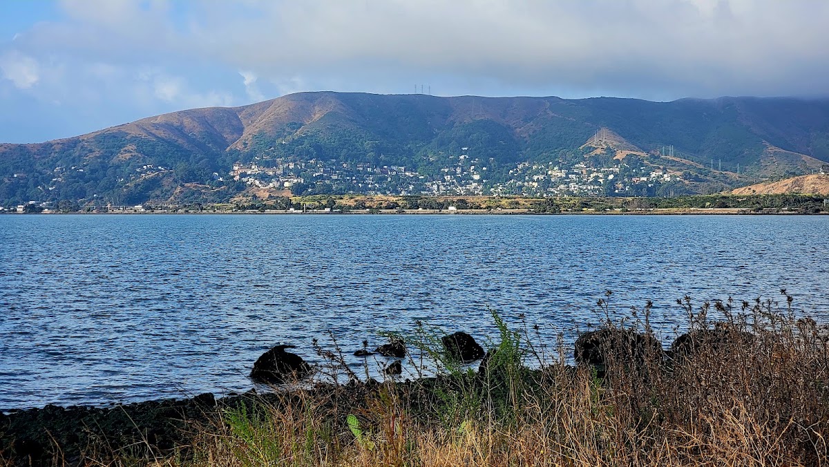 Candlestick Point State Recreation Area photo 8