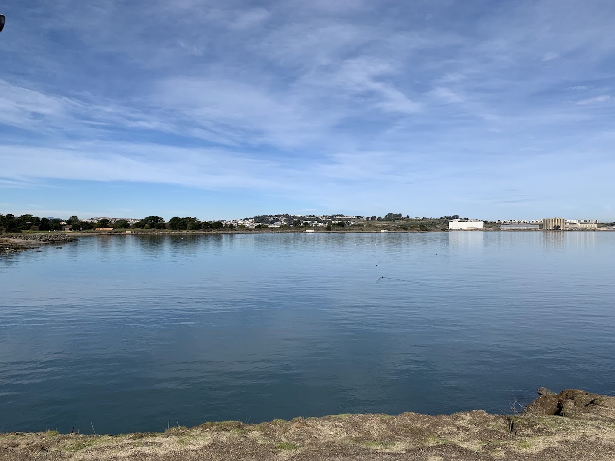 Candlestick Point State Recreation Area photo 9