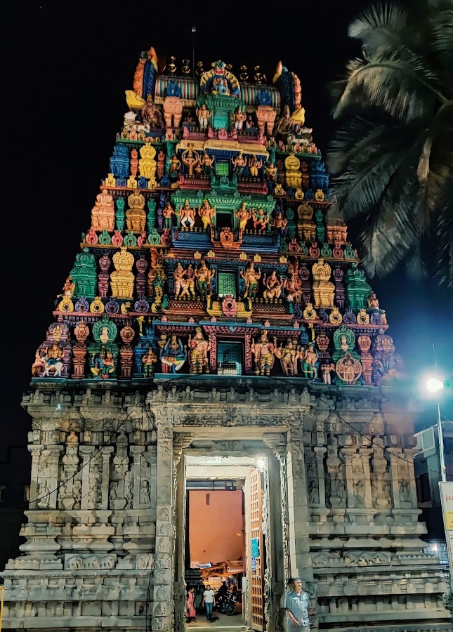 Sri Someshwara Swamy Temple photo 6