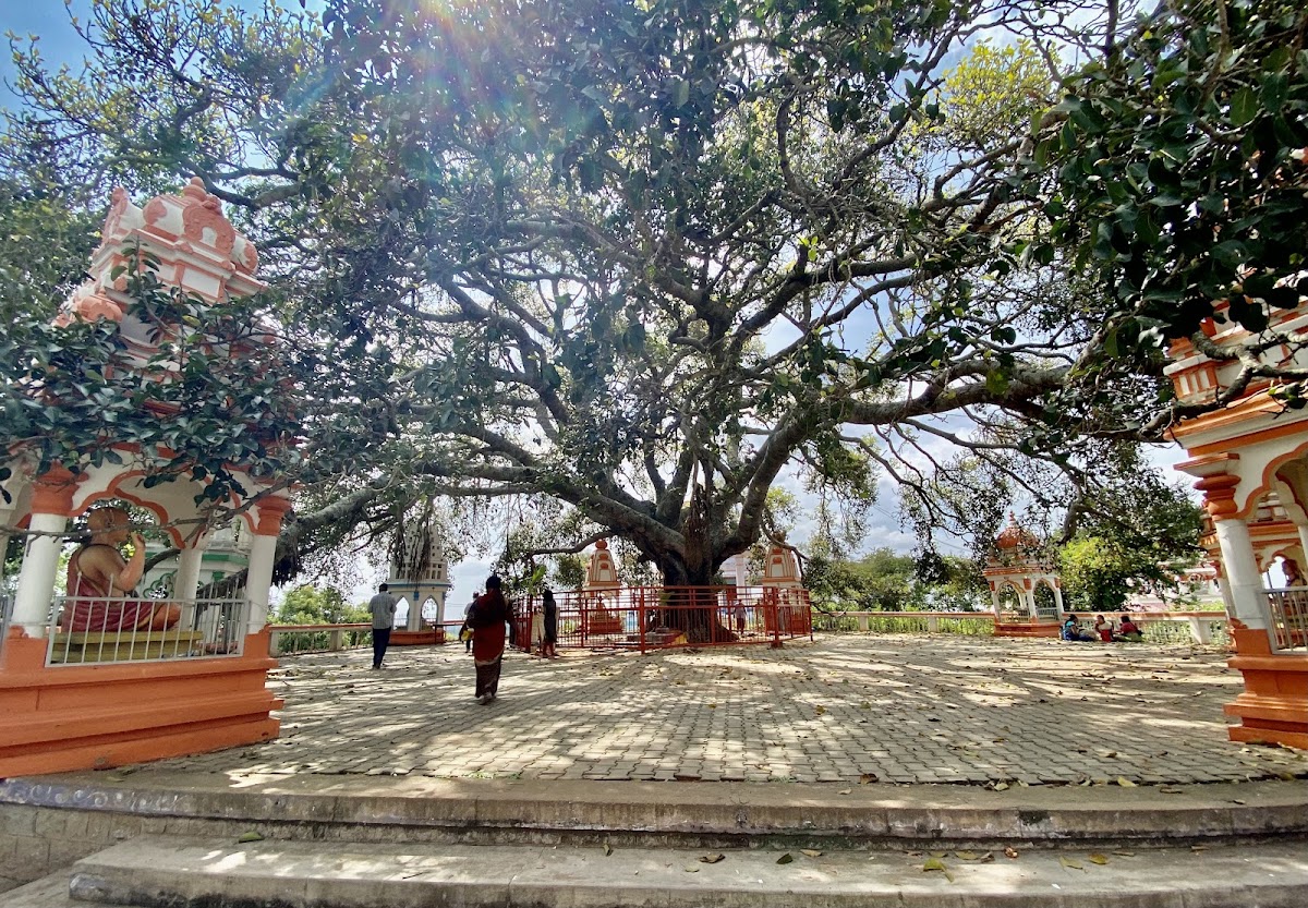Shri Dwadasha Shiva Temple photo 10