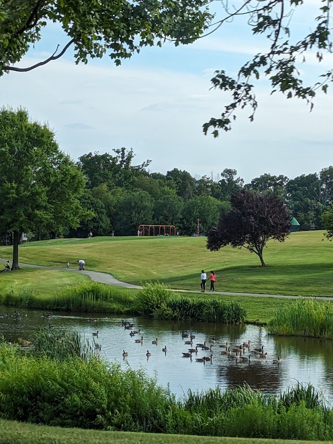Bohrer Park photo 3