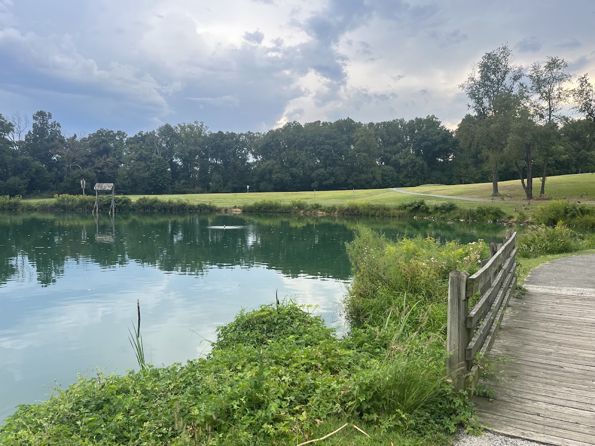 Bohrer Park photo 4
