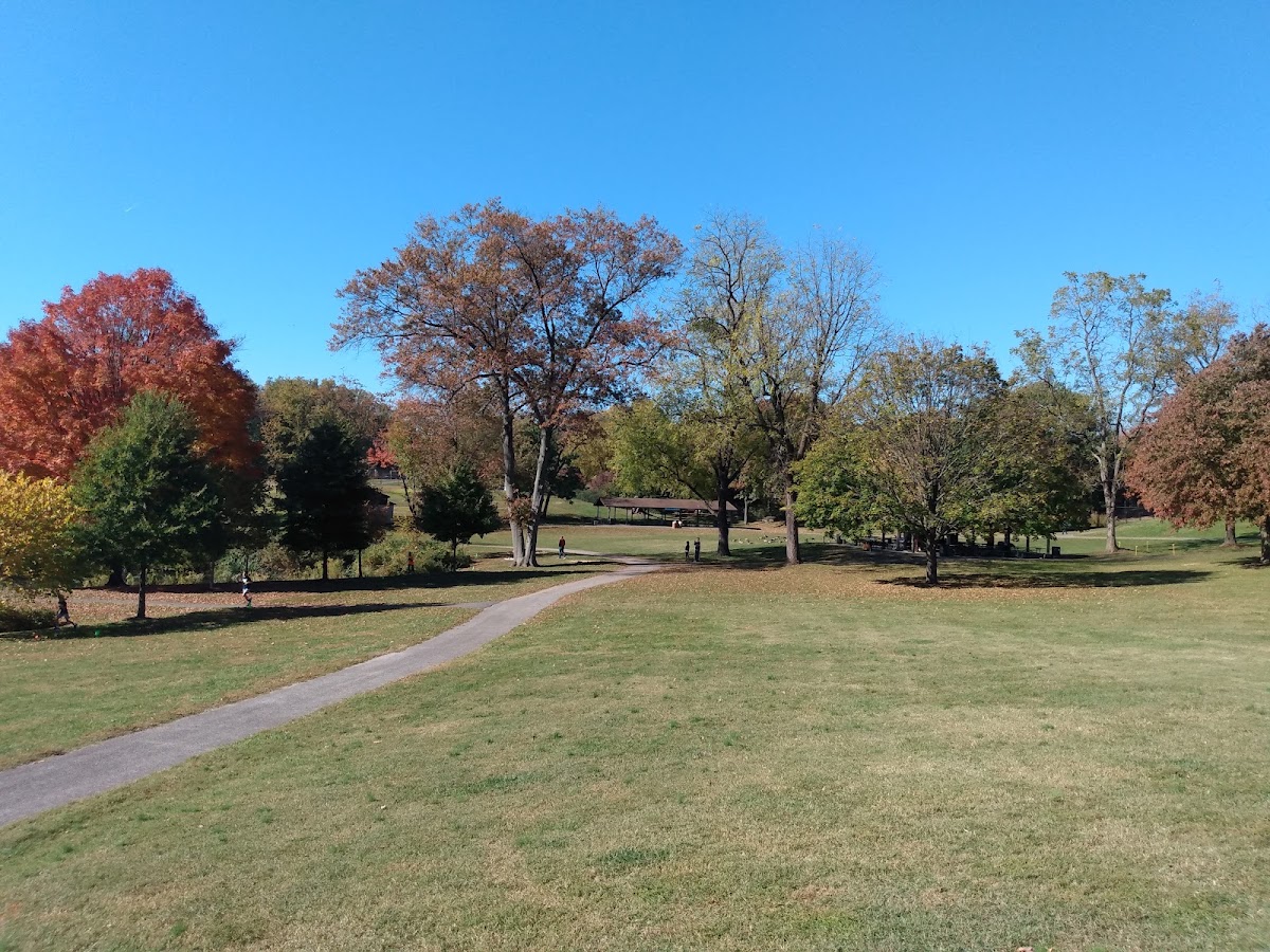 Bohrer Park photo 5