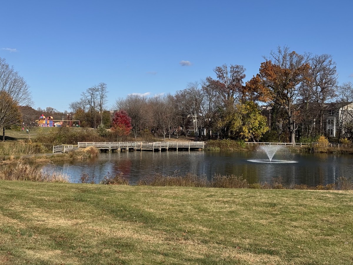 Bohrer Park photo 6