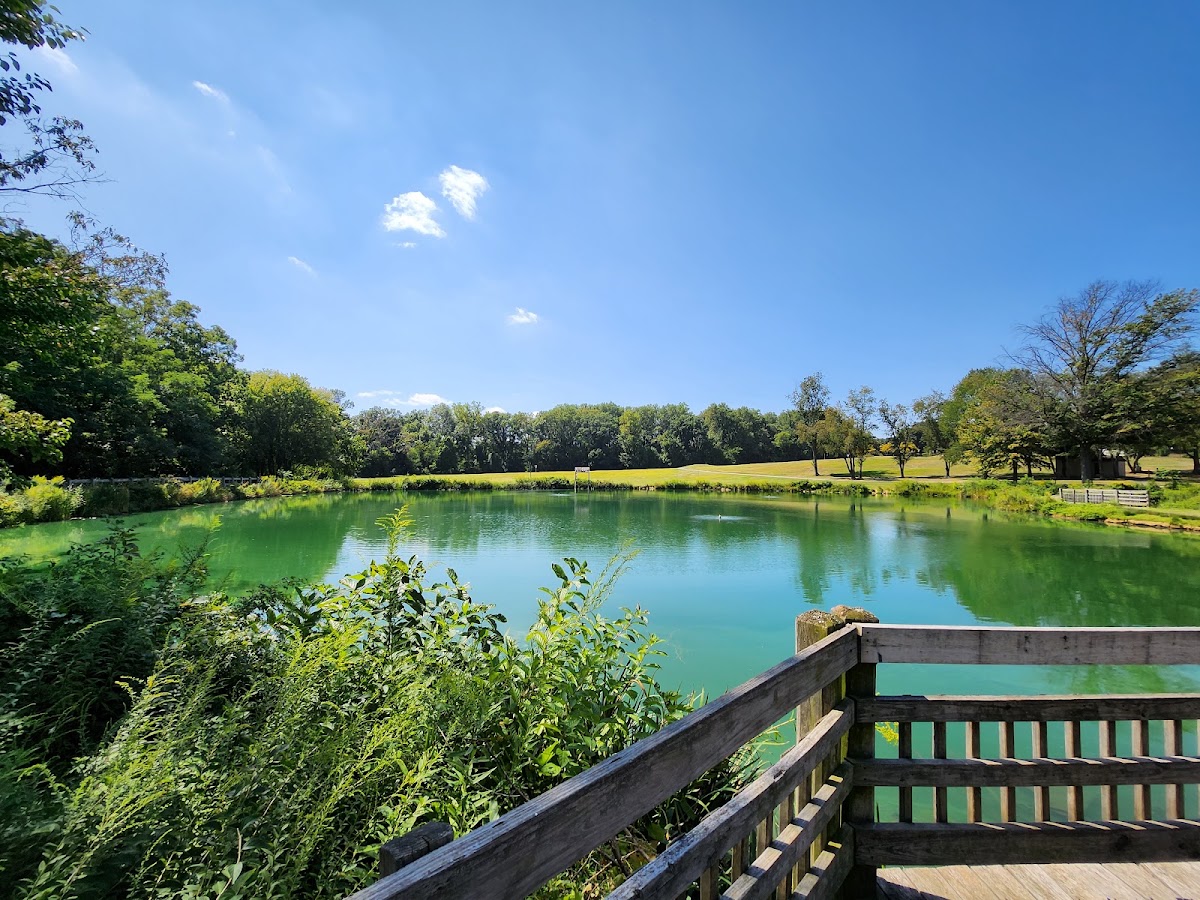 Bohrer Park photo 8