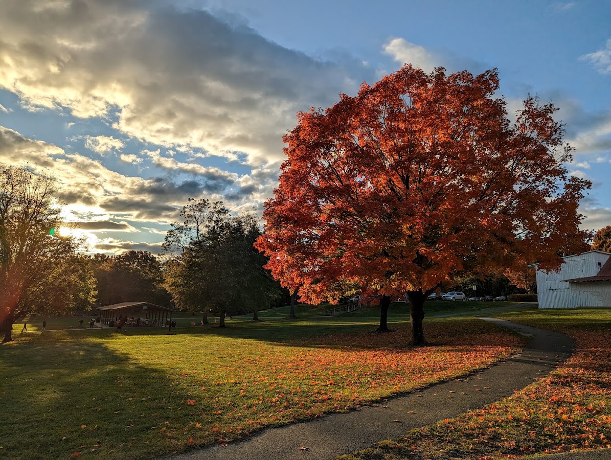 Bohrer Park photo 10