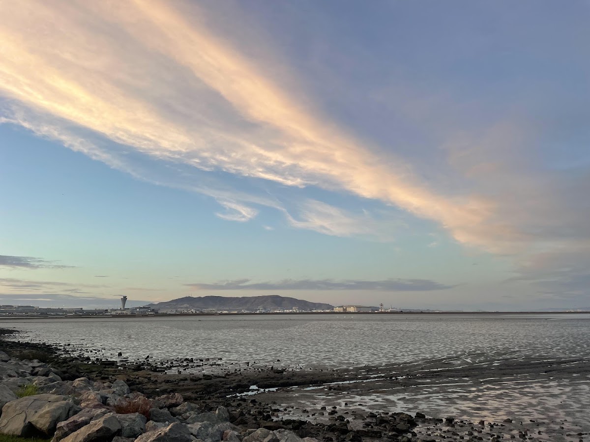 Bayfront Park photo 2
