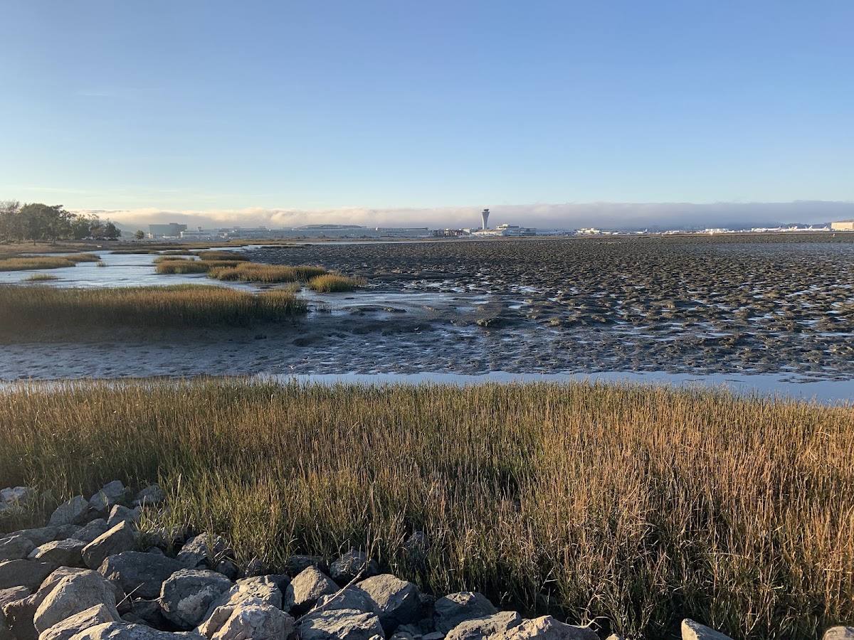 Bayfront Park photo 3