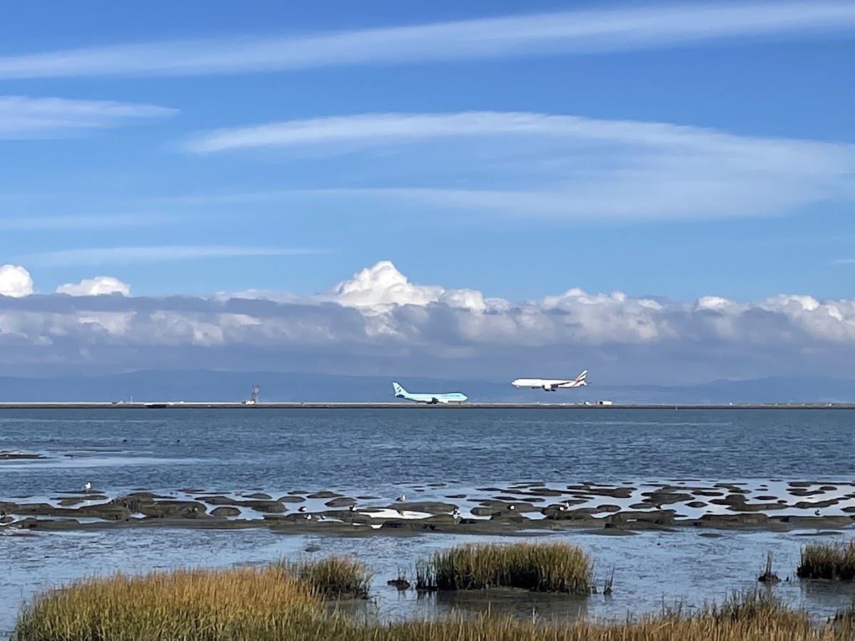 Bayfront Park photo 5