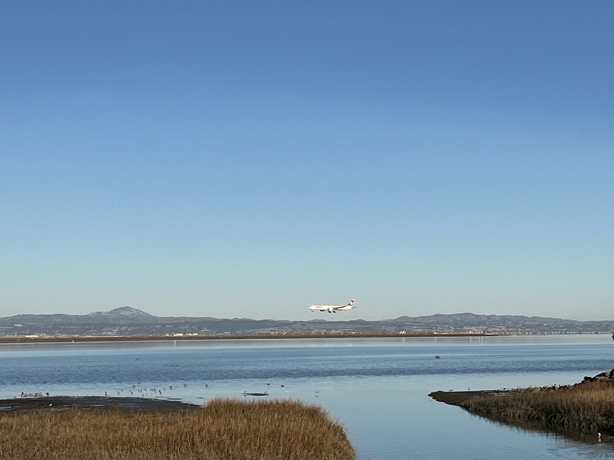 Bayfront Park photo 7