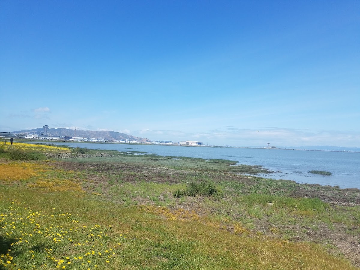 Bayfront Park photo 10
