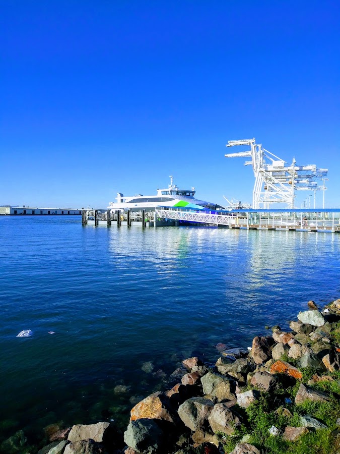 Jack London Square photo 6