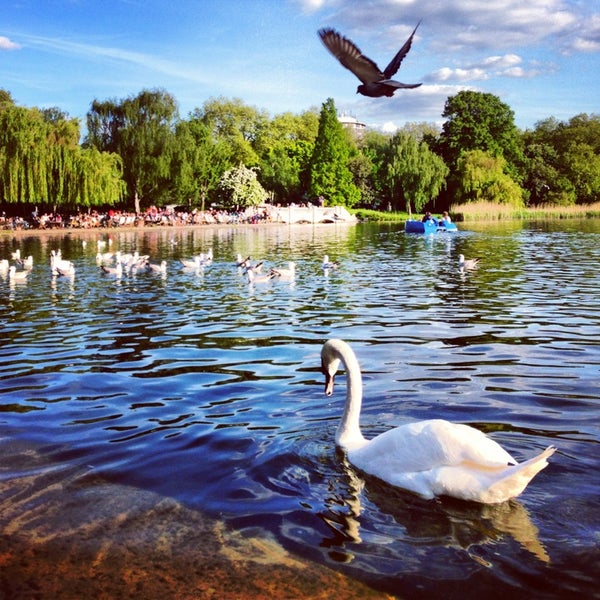 Hyde Park photo 7
