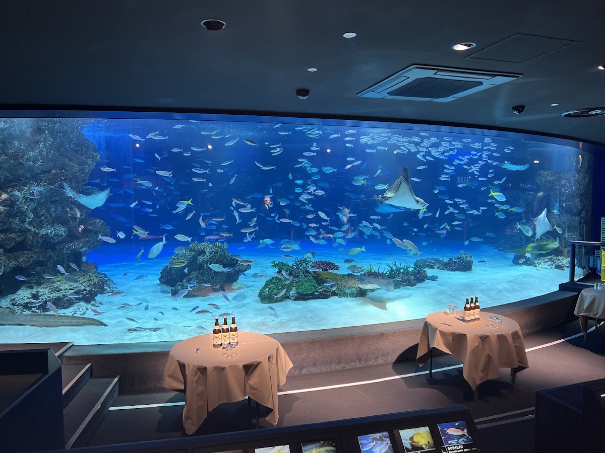 Sunshine Aquarium photo 2