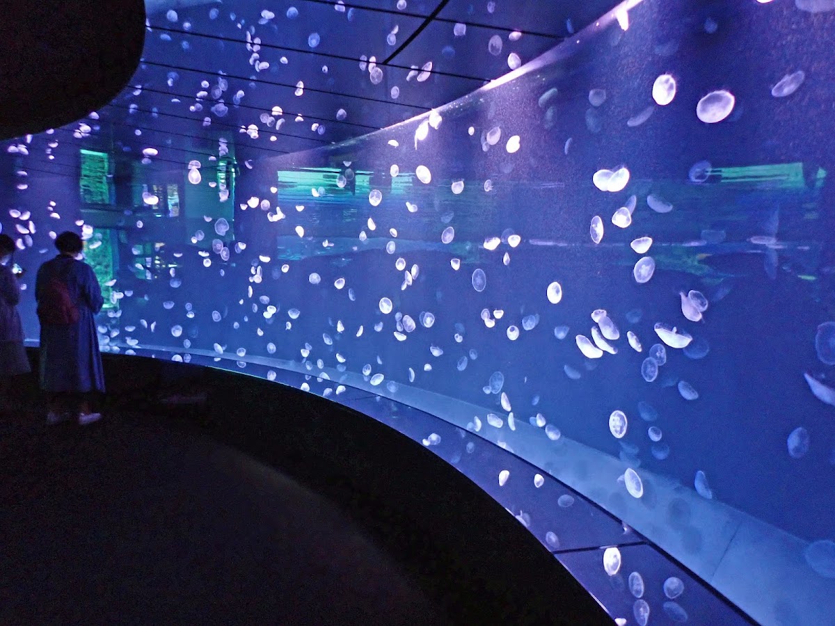 Sunshine Aquarium photo 3