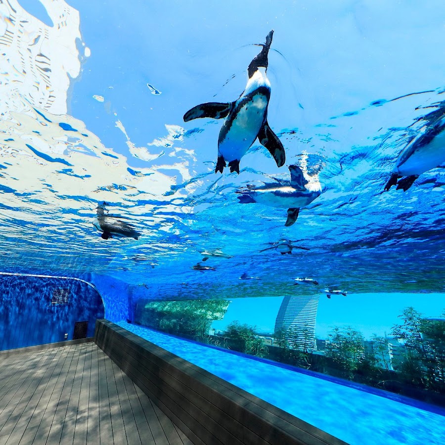Sunshine Aquarium photo 8