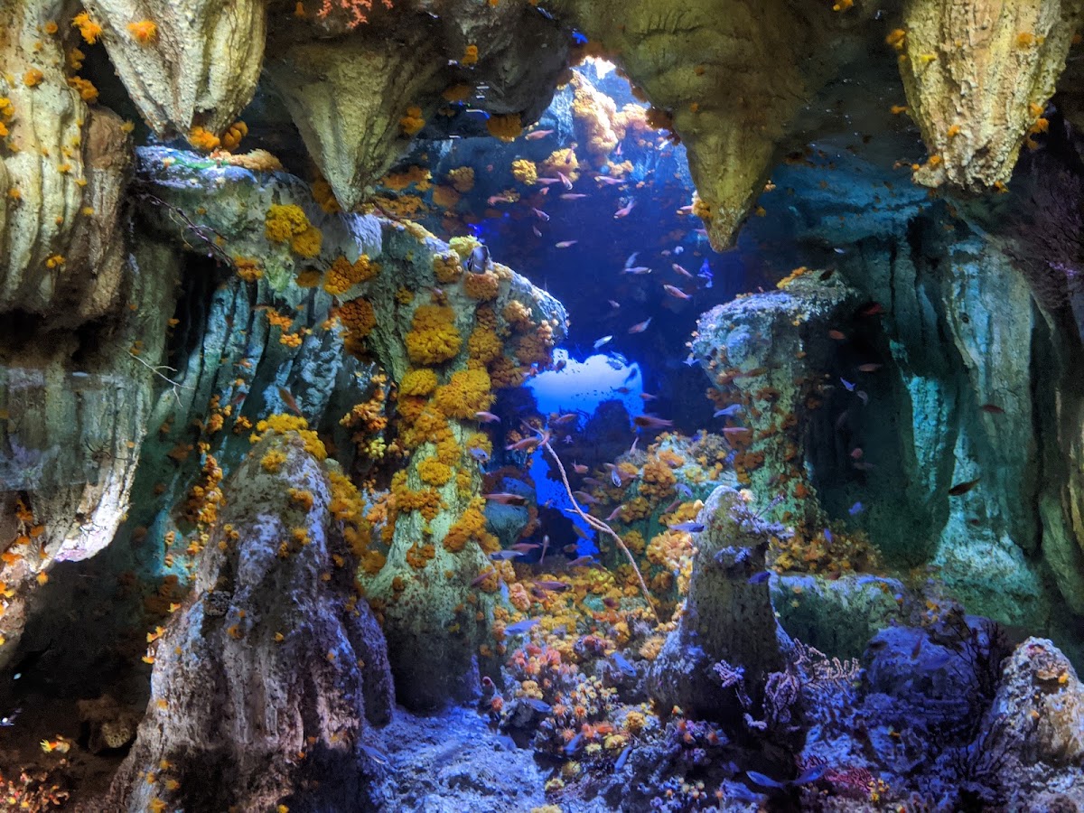 Sunshine Aquarium photo 9