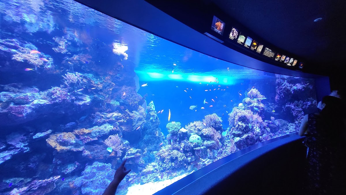 Sunshine Aquarium photo 10
