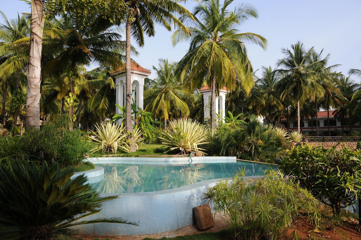 The Golden Palms - Urban Resort | Banquets | Spa photo 5
