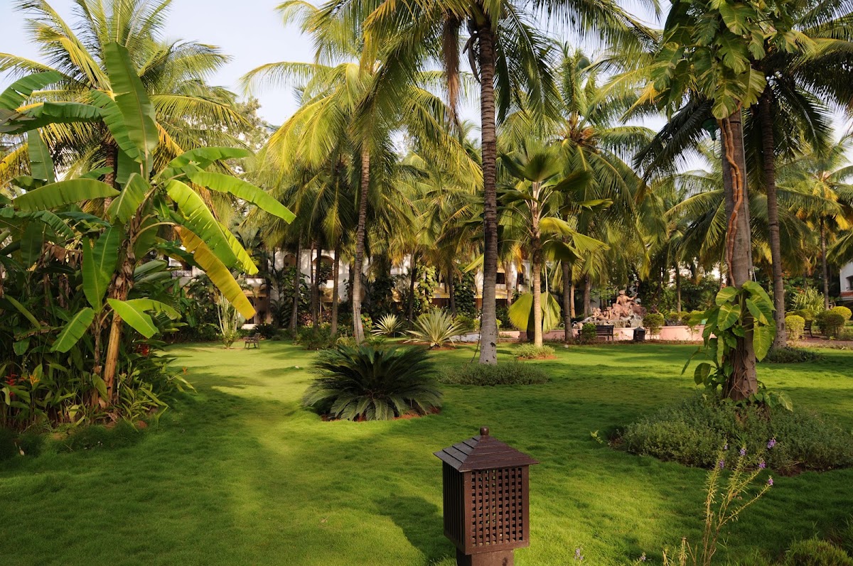 The Golden Palms - Urban Resort | Banquets | Spa photo 6