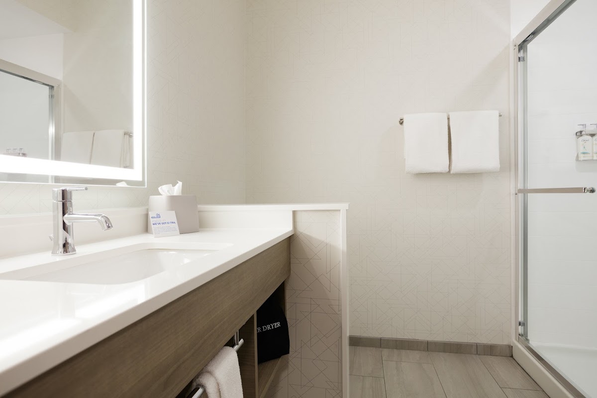 Holiday Inn Express & Suites Chicago West - Oak Park by IHG photo 3