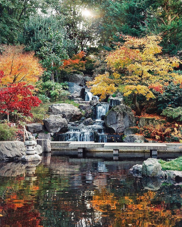 Kyoto Garden