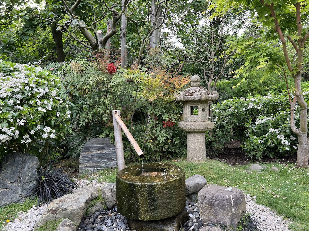 Kyoto Garden photo 3