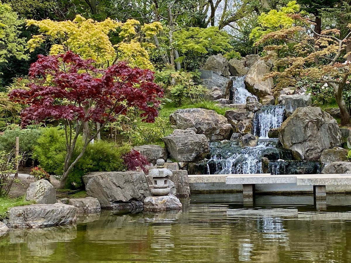 Kyoto Garden photo 6