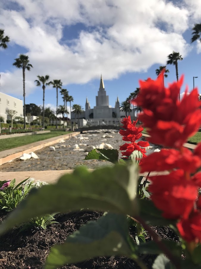 Oakland California Temple photo 10