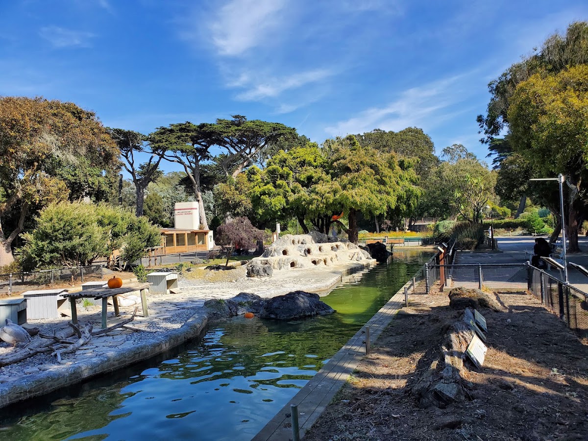 San Francisco Zoo photo 10