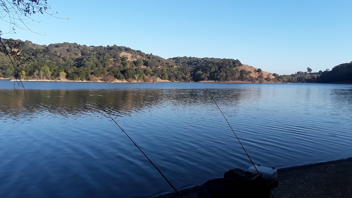 Lake Chabot Regional Park photo 2
